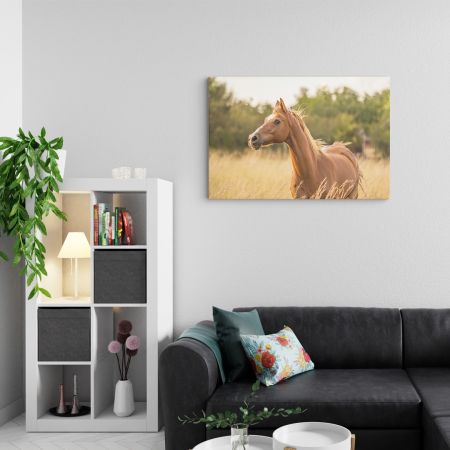 Portret smeđeg konja 