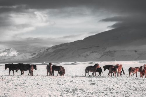 Planina u pozadini