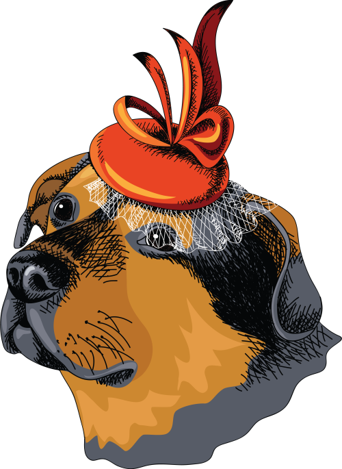 Ženska crna majica - Pas sa brošom