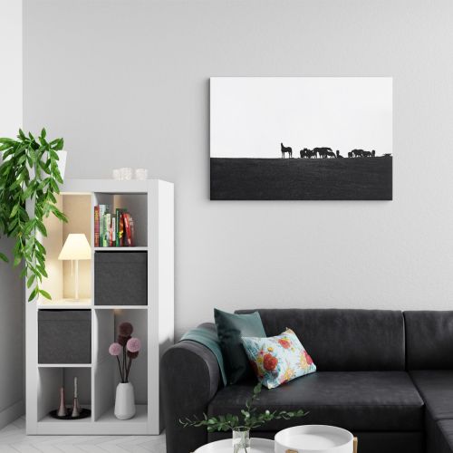 Konji u daljini 